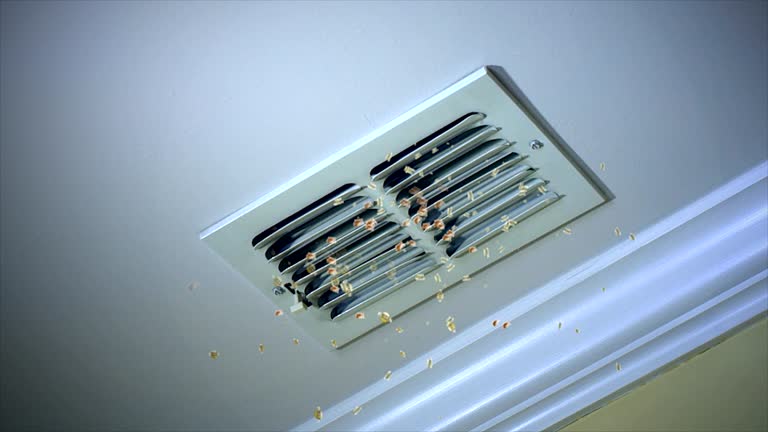 Best Residential Air Duct Cleaning  in Clear Lake, IA